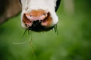 AgNav: Trusted Solutions for Everyday Farming