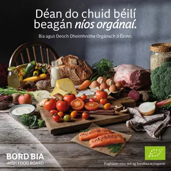 Organic Irish salmon in a bowl being held. Text on image reads "Déan do chuid Béalaí beagáin níos orgánaí"