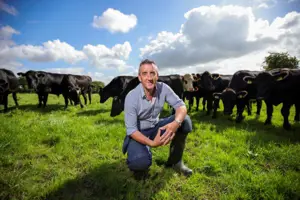 Joe O'Meara in his field with cows