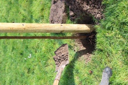 the excavated soil from the hole back in around the root-ball or roots 