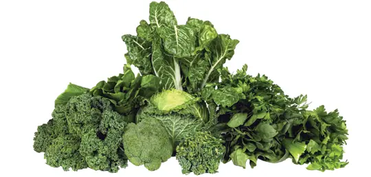 Green Vegetables 