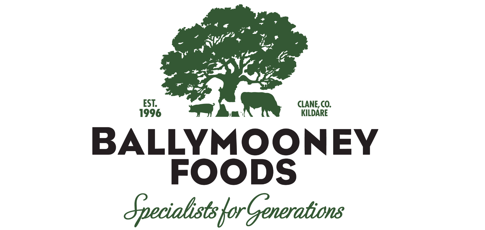 Ballymooney Foods logo