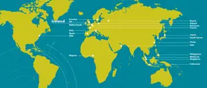 Invest for Brand Export Success