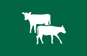 EU Calf (Male) Prices