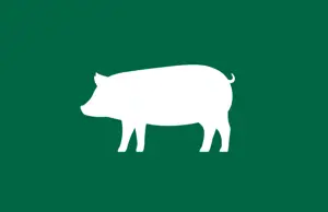 Pigmeat Price Dashboard