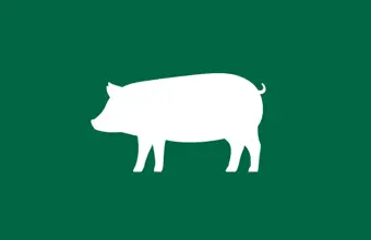 Pigmeat Price Dashboard