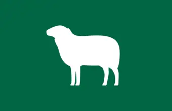 Sheepmeat Price Dashboard