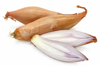 Shallots