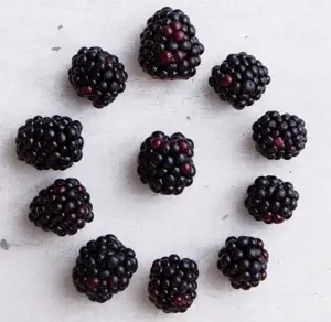 Blackberry