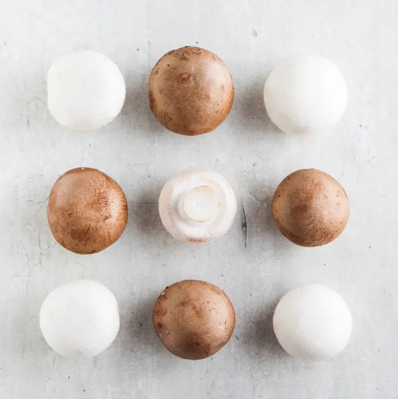 Mushrooms