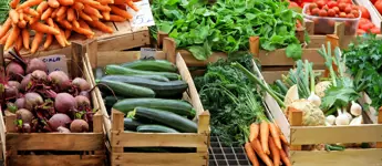 Advice on Setting Up a Stall