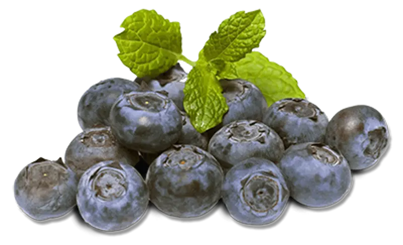 Blueberry