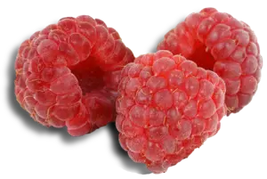 Loganberries