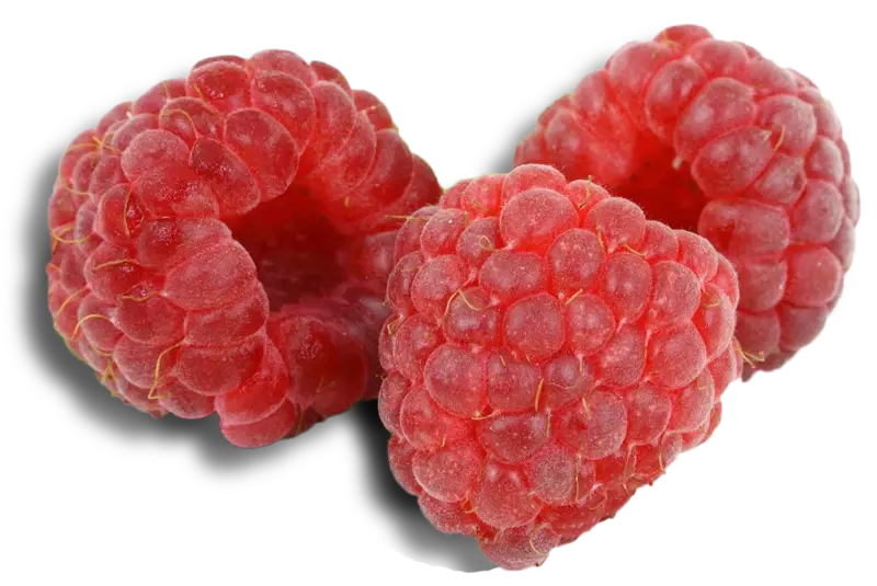 Raspberry