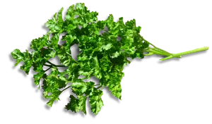 Parsley