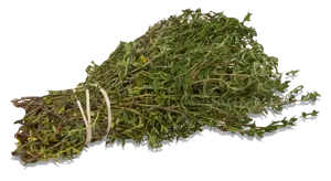 Thyme