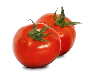Tomato