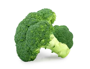 Broccoli