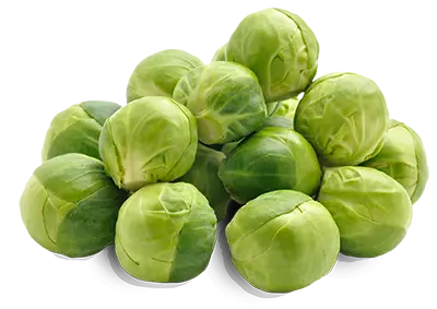 Brussels Sprouts
