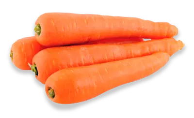 Carrot