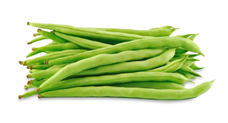 Runner Beans