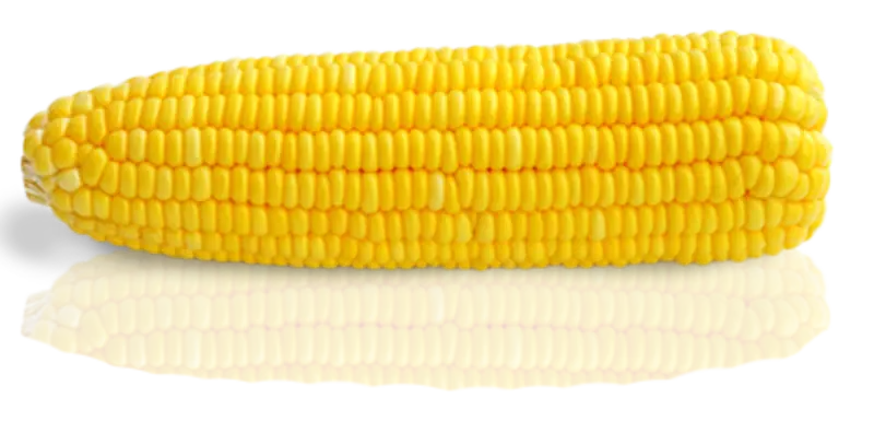Sweetcorn