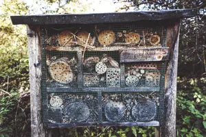 How To Make an Insect Hotel