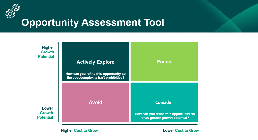 Opportunity Assessment.PNG