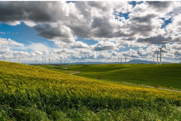 Farm image, featuring green fields and blue cloudy sky