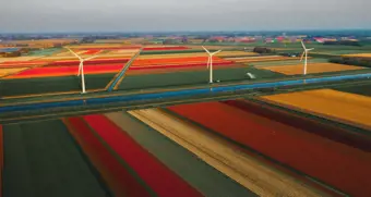 Netherlands