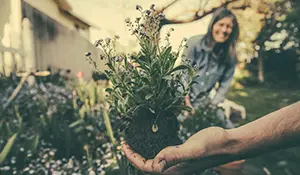 How to Make Eco-Friendly Tube Planters