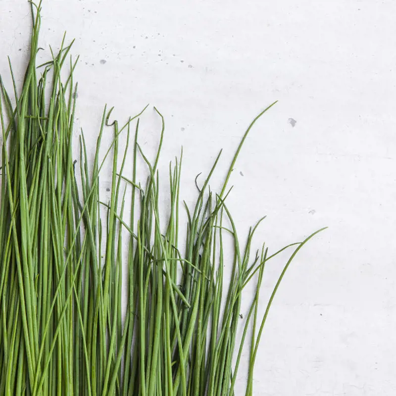 Chives