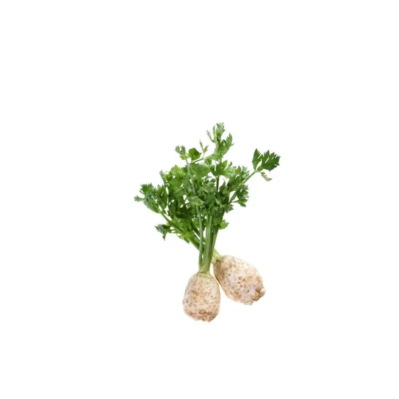 Celeriac