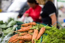 Homemade Carrot and Onion Stuffing