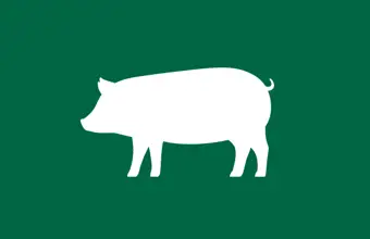 EU Reference and Representative Pig Prices