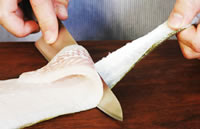 fillet of fish fillet of fish