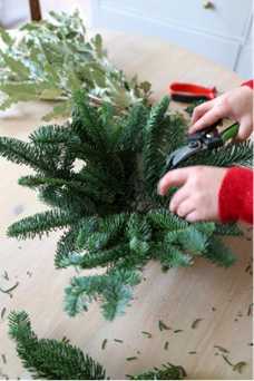 hands trimming foliage