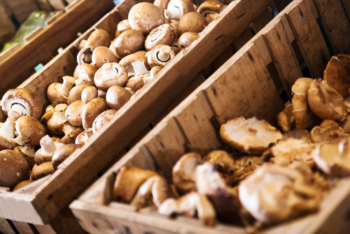 Wooden boxes containing an assortment of mushroom varieties