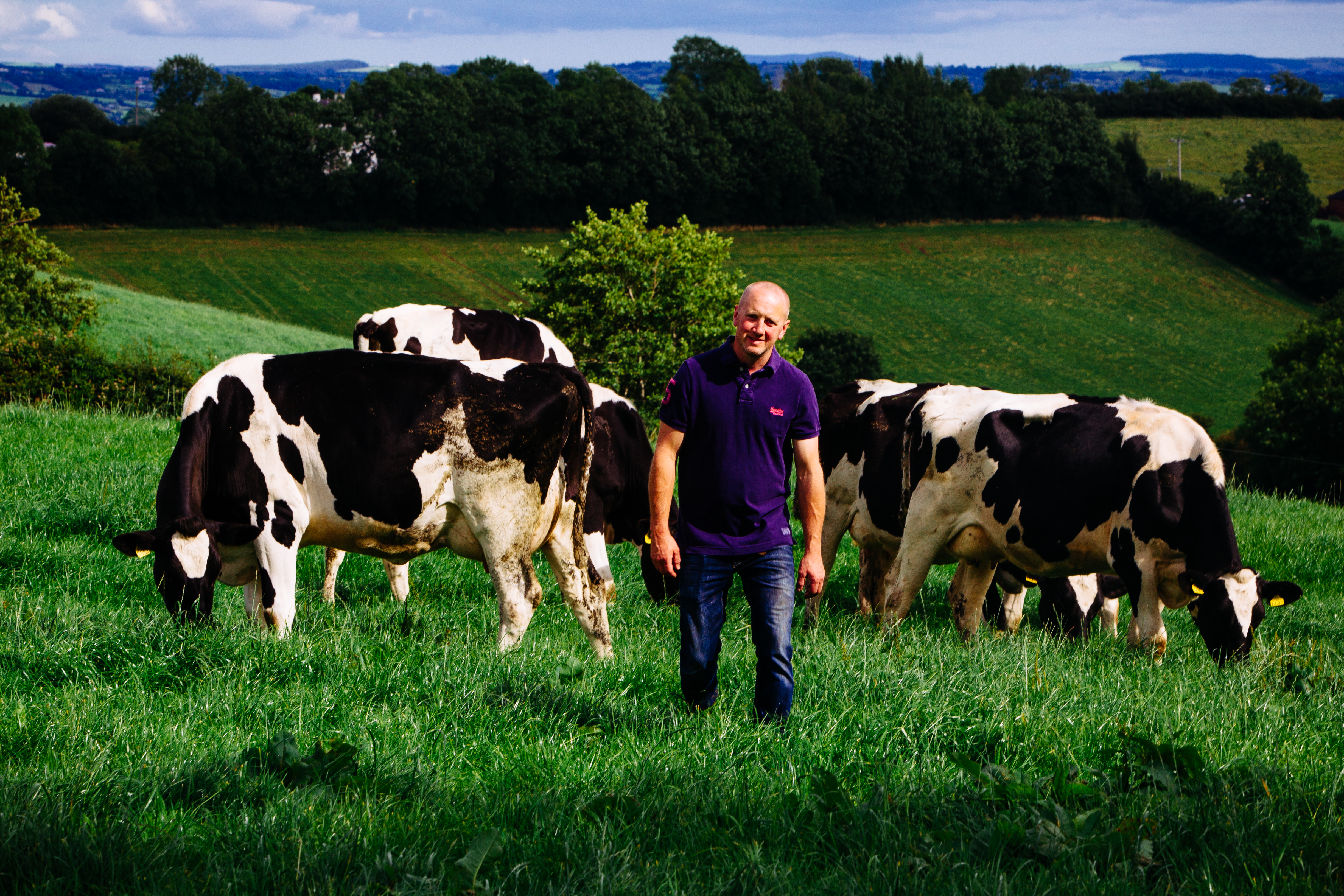 Origin Green farmer in a field with dairy cows