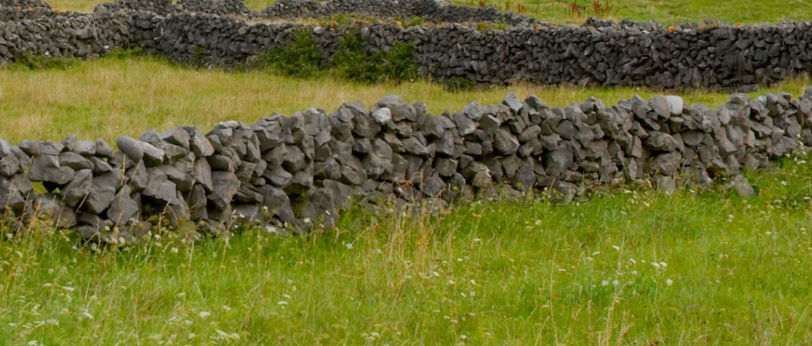 Stone wall in field